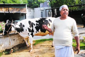 laloo in khatal in bihar