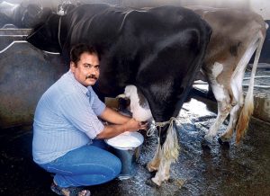 aurangabad subodh kumar singh_dairy farming