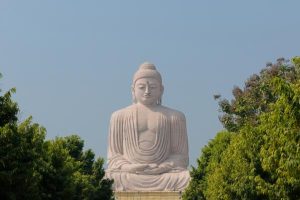 buddha-statue budh and evernment