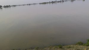 flood in bihar gopalganj